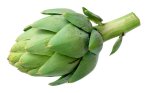 ARTICHOKE