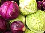 cabbage